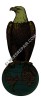 ER- C101 Case Eagle Decal (6-3/16")