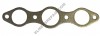 ER- A34875 Manifold Gasket